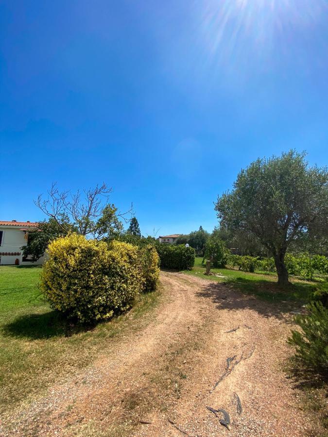 Villa Gladyr Lotzorai Εξωτερικό φωτογραφία