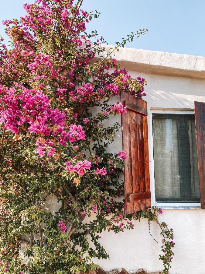 Villa Gladyr Lotzorai Εξωτερικό φωτογραφία